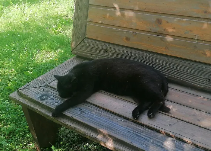 Pista Papa Tanyaja 招待所 3*